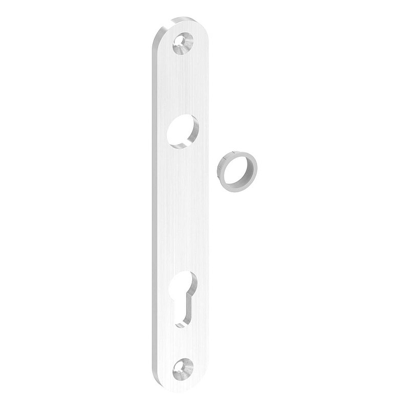 Plaque longue adaptée aux serrures à encastrer, 32x220x6mm, V2A