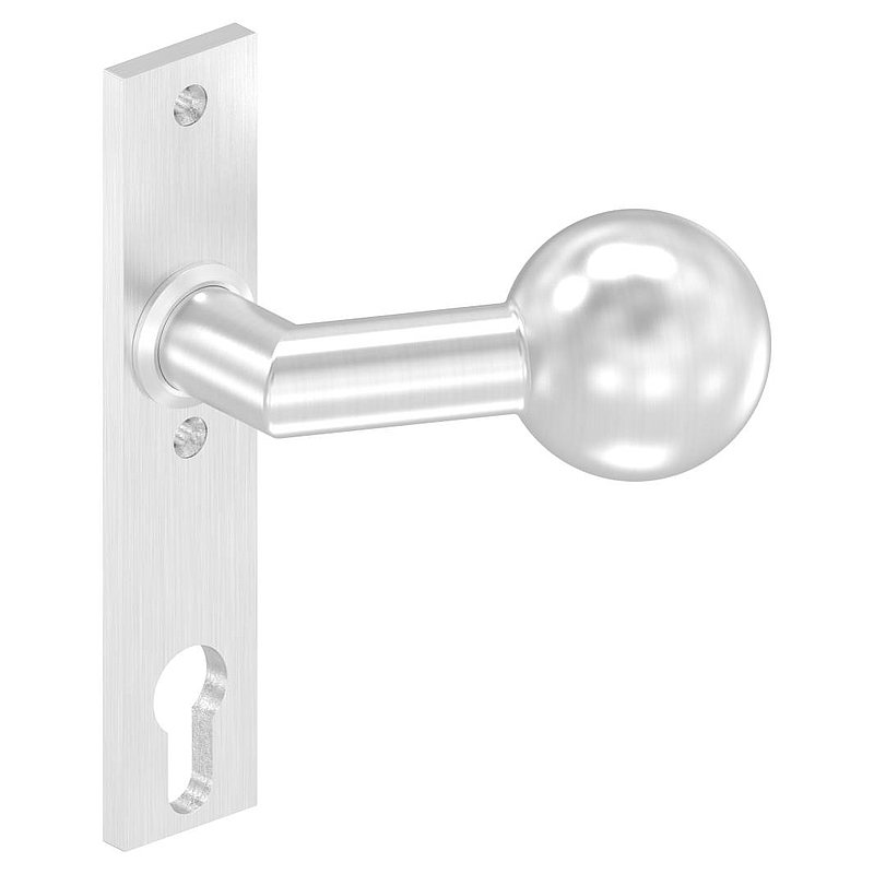 Türknopf, Ø 50mm, mit Langschild, V2A