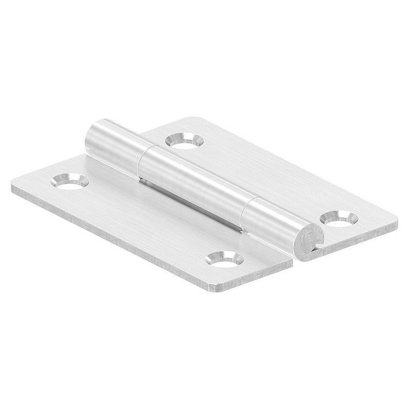 Charnière acier inoxydable 50x38mm avec tige fixe, V2A