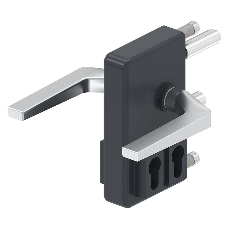 Serrure à grille GTS 2 avec double cylindre pour tube de 40-60mm d'épaisseur, boîtier RAL 7016