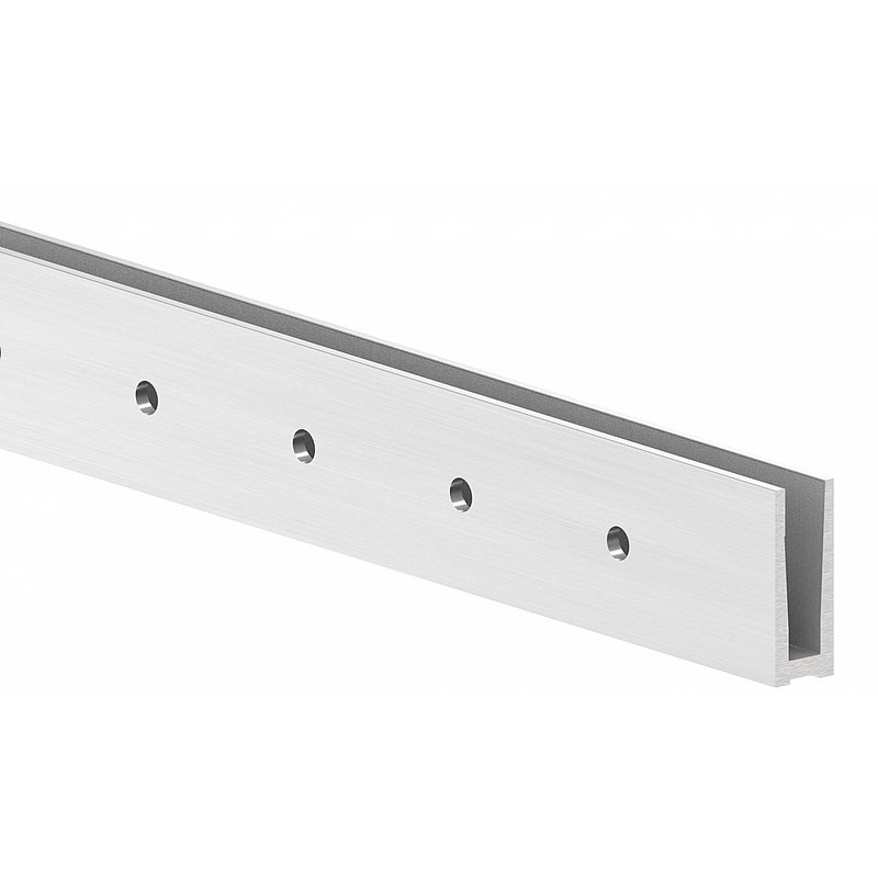 Profilé aluminium ELEGANZA STRONG, montage latéral, L: 6000mm