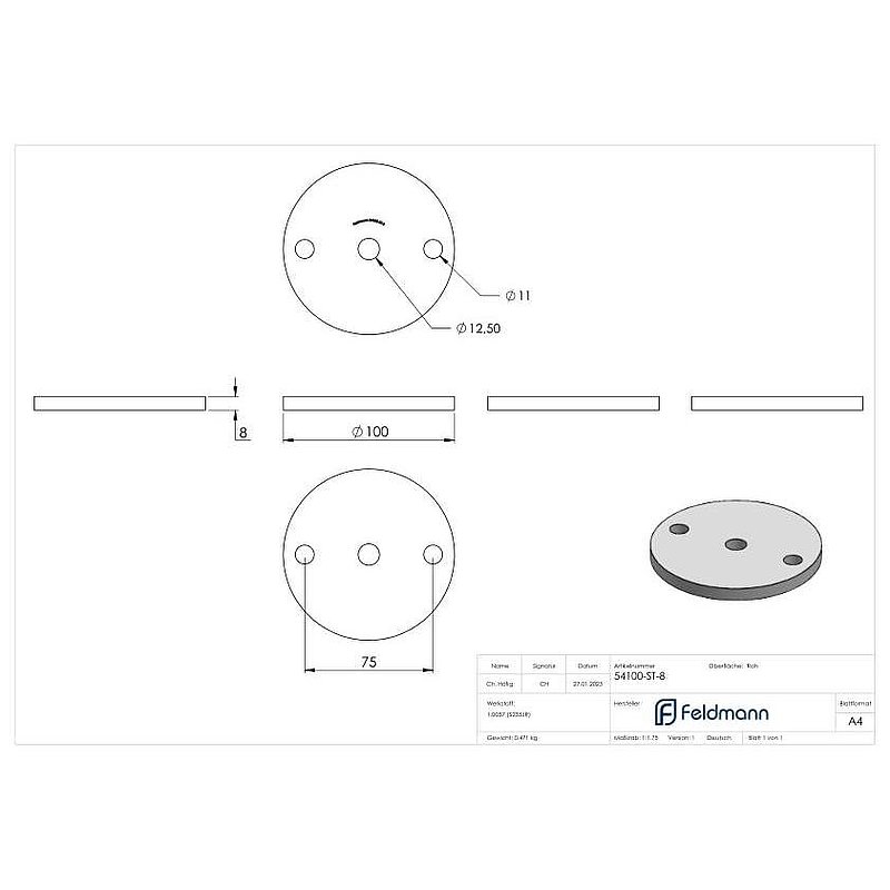 Ankerplatte 100x8mm