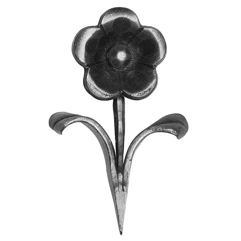 Blume 123x63mm