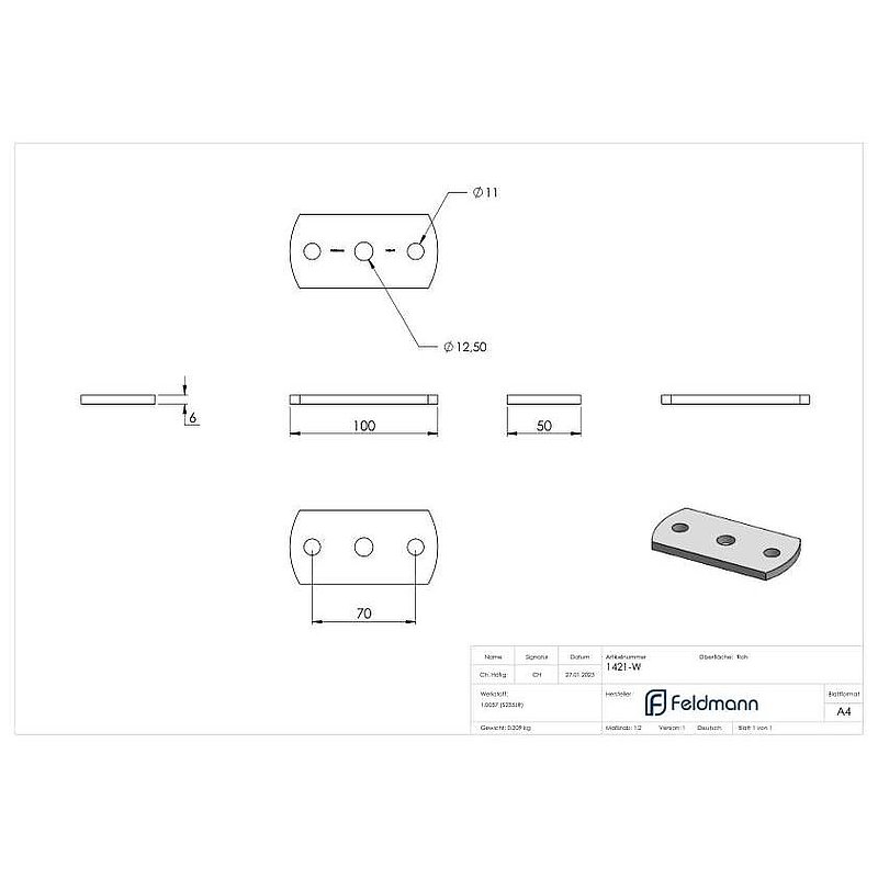 Ankerplatte 100x50x6mm