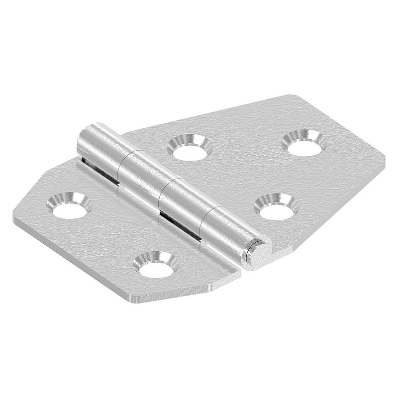 Charnière acier inoxydable 40x55mm avec tige fixe, V2A