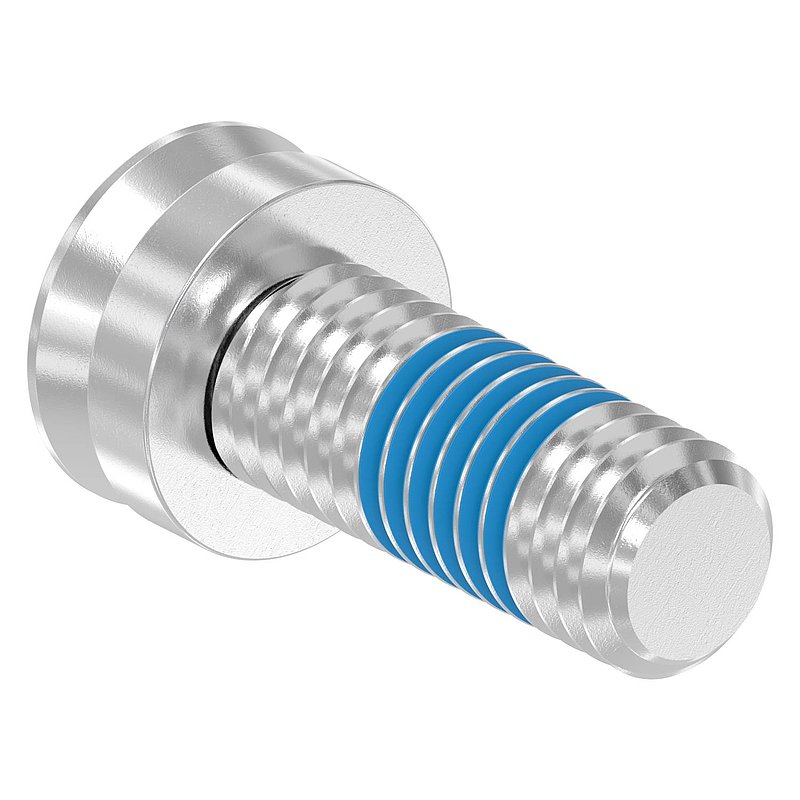 Spezialschraube M8 x 20, A2, VPE = 4 Stück