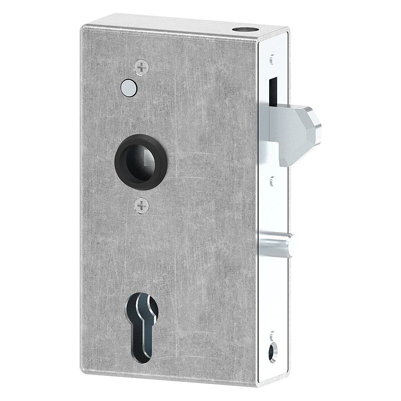 lock case with hook lock, 40 x 94 x 170 mm