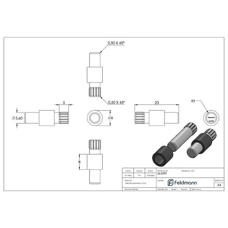 Sicherungsstift für Mod. 36, V4A