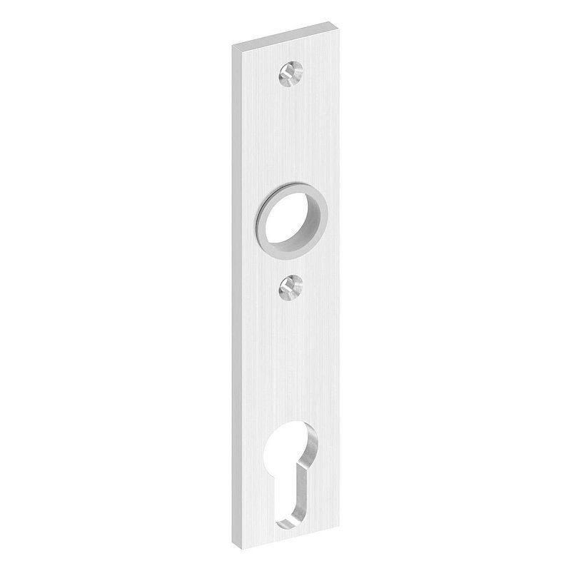 Langschild, Abmessung: 32x156x6mm, V2A