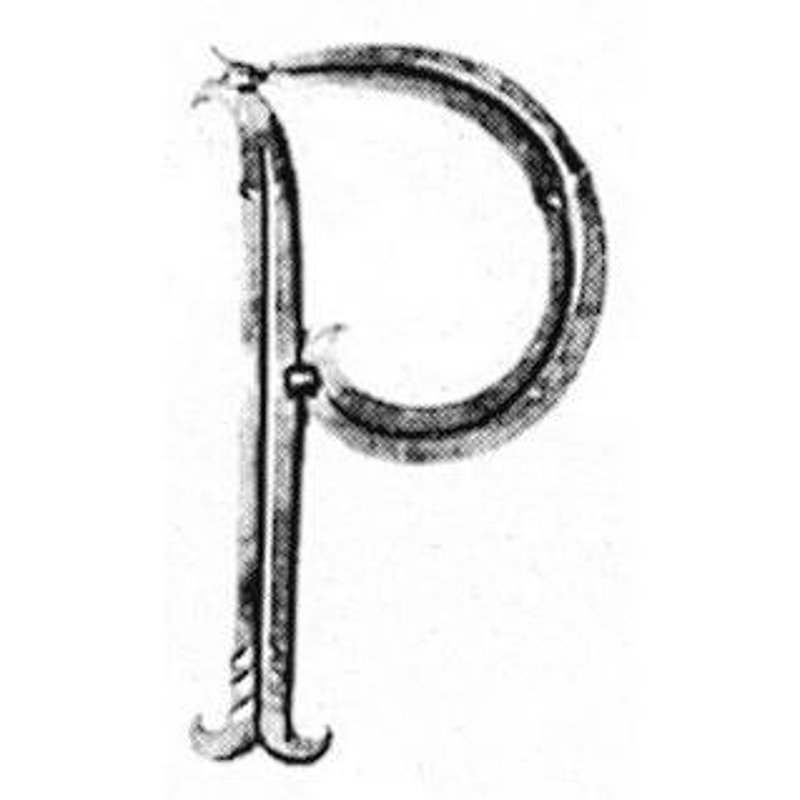 Buchstabe P