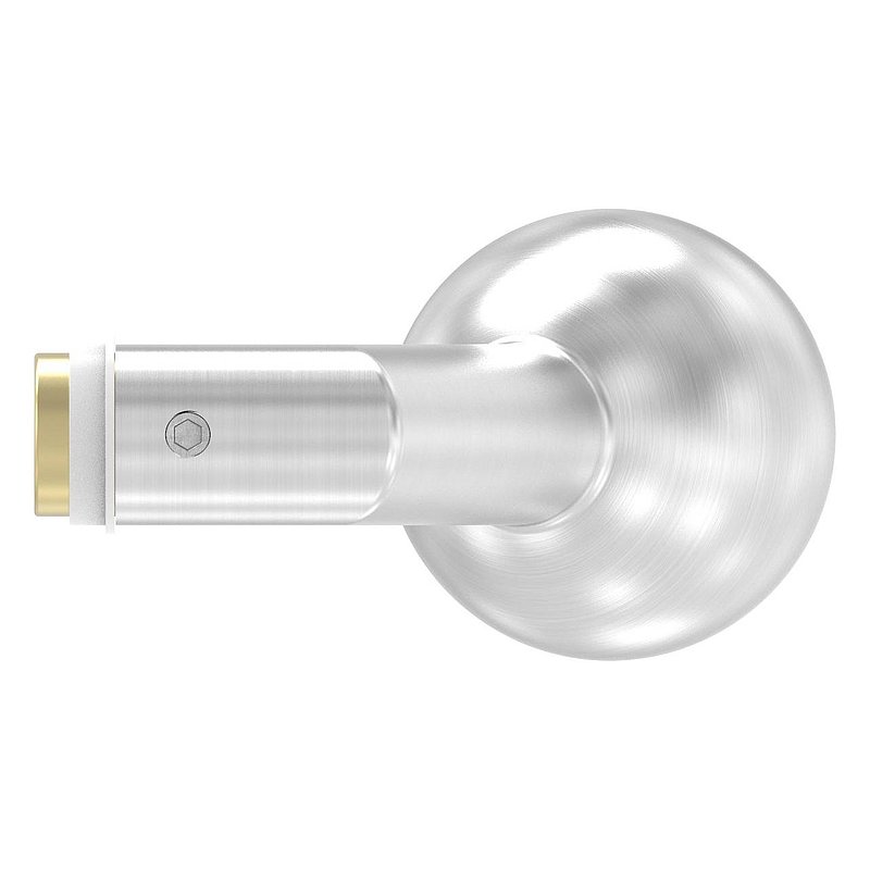 Poignée de porte boule fixe, seule, Ø 50mm, coudé, V2A