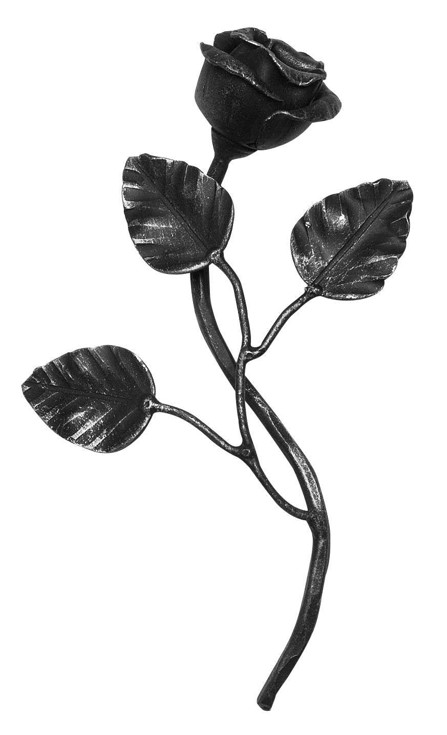 Rose klein
