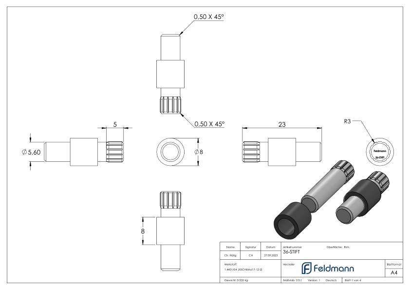 Sicherungsstift für Mod. 36, V4A