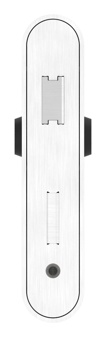 Edelstahlschlosskasten mit verzinktem Schloss, 42,4x78,2x208,4mm