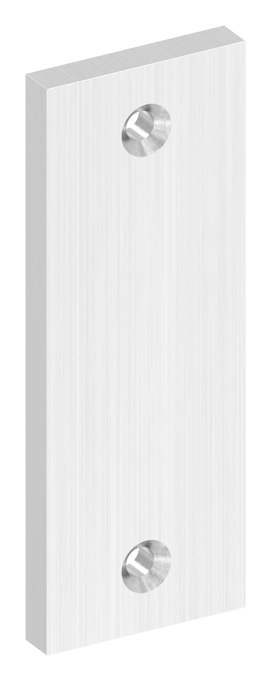 Kurzschild blind, Abmessung: 32x87x6mm, V2A