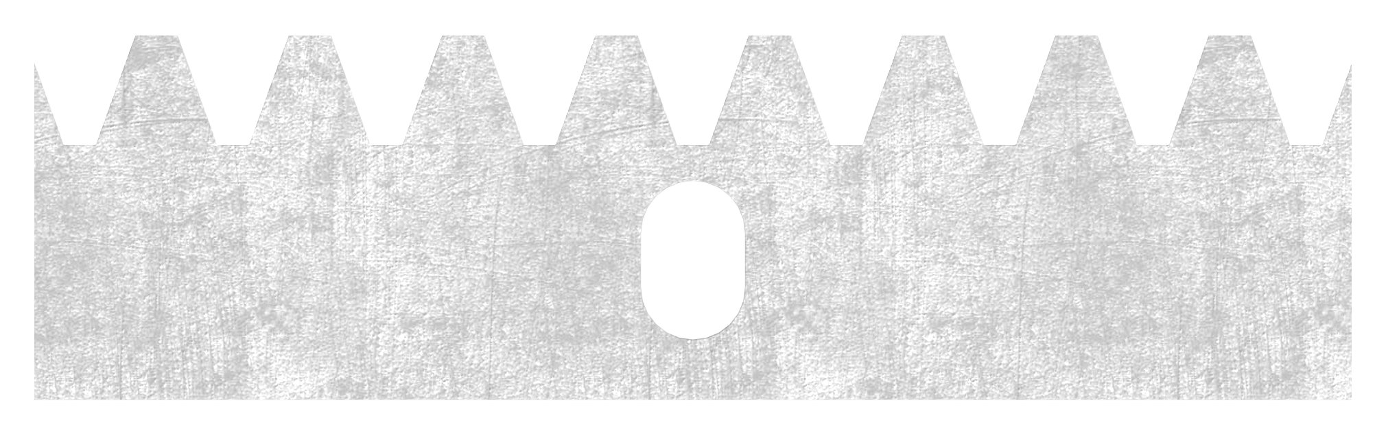 Zahnstange 30 x 12mm, Länge 1m, inkl. Befestigungsmaterial, V2A