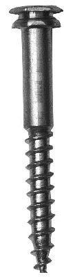 Sicherh.schraube verz.10x80