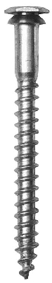 Sicherh.schraube verz.10x160