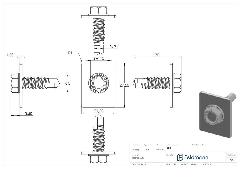 Befestigungszubehör für Zahnstange aus Nylon mit selbstsbohrender Schraube, 6 Stück, verzinkt