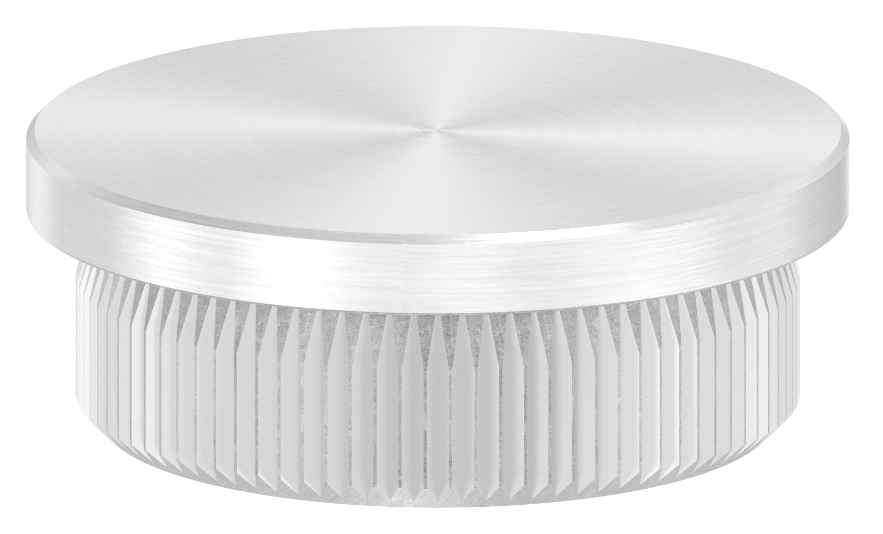 Rohrabschlussstopfen, für Rohr 30,0x2,0mm, V2A