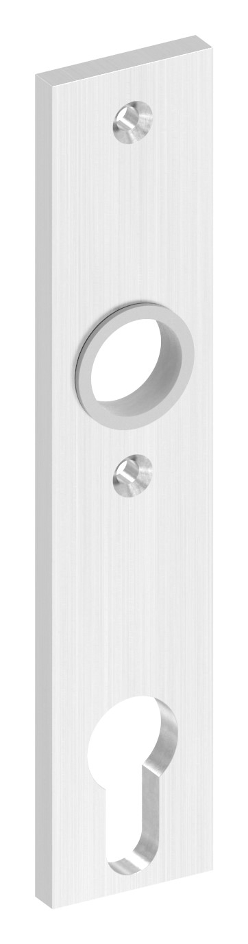 Langschild, Abmessung: 32x156x6mm, V2A