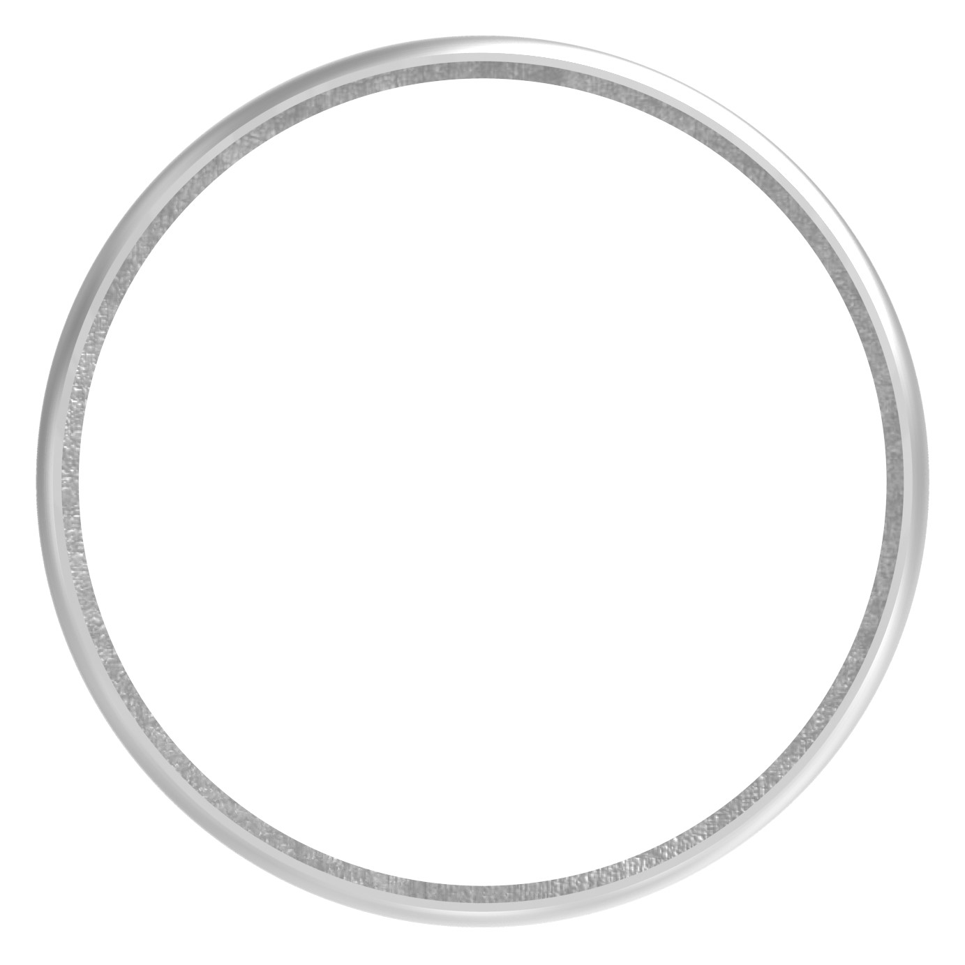 Ring für Rohr 48,3mm, V2A Ring für Rohr 48,3mm, V2A