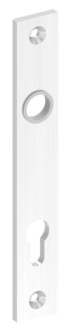 Langschild, Abmessung: 32x220x6mm, V2A