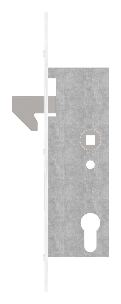 Rohrrahmenschloss verzinkt mit Hakenfalle (z.B. für Schiebetore), Dornmaß 40mm Rohrrahmenschloss verzinkt mit Hakenfalle (z.B. für Schiebetore), Dornmaß 40mm