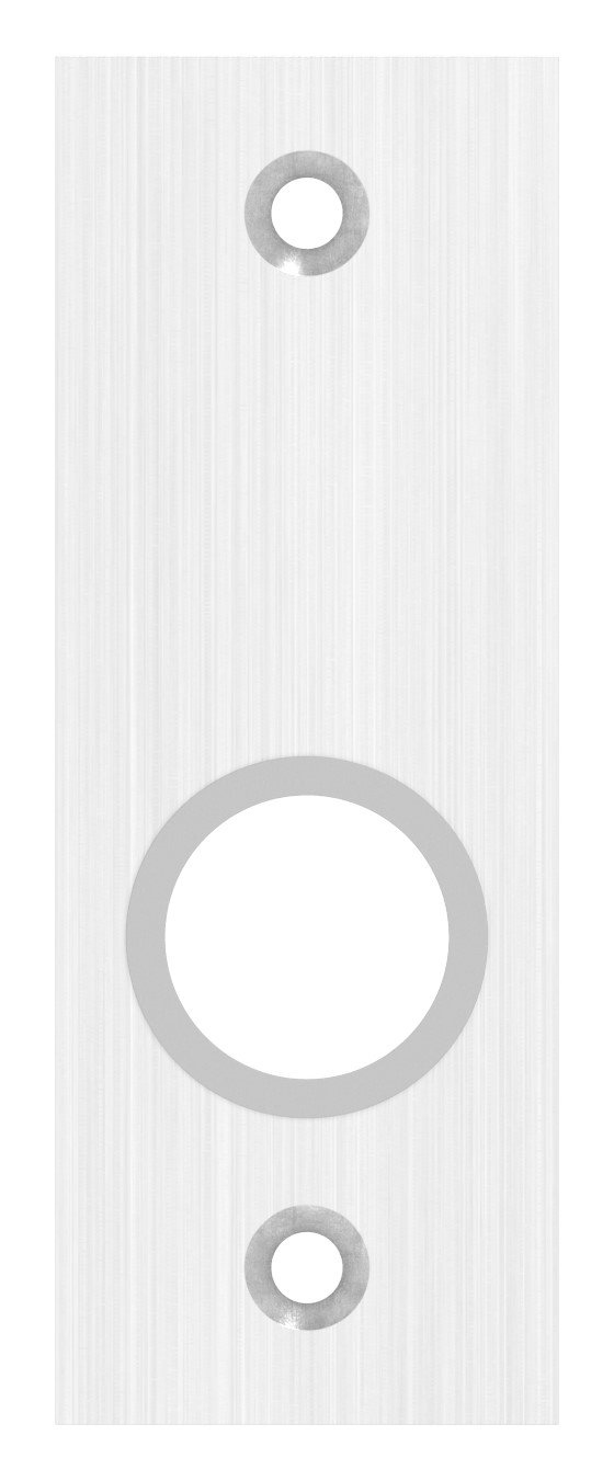 Kurzschild, Abmessung: 32x87x6mm, V2A