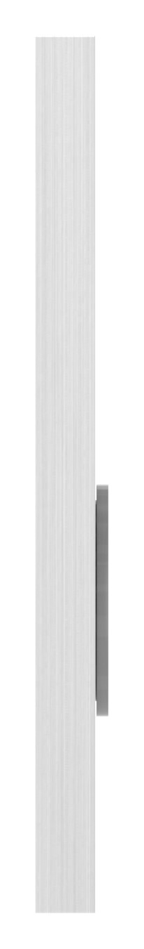 Kurzschild, Abmessung: 32x87x6mm, V2A