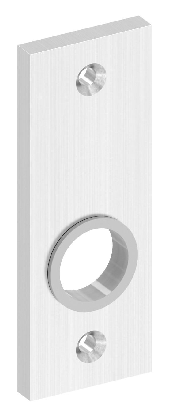 Kurzschild, Abmessung: 32x87x6mm, V2A